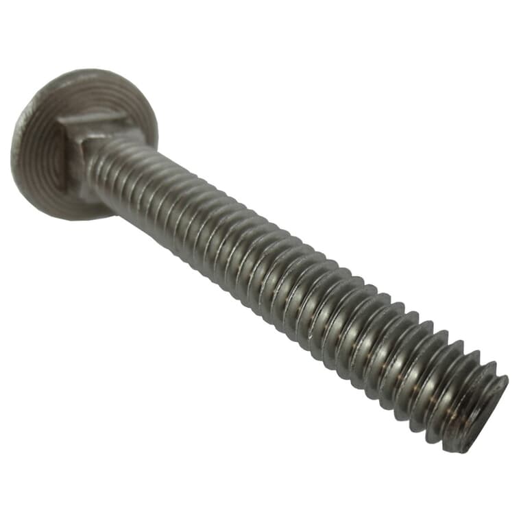 5/16" x 2" 18.8 Stainless Steel Carriage Bolt