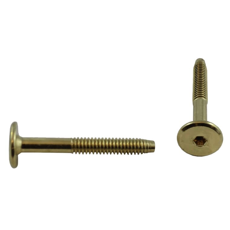 2 Pack 1/4" x 2" Brass Plated Connector Bolts