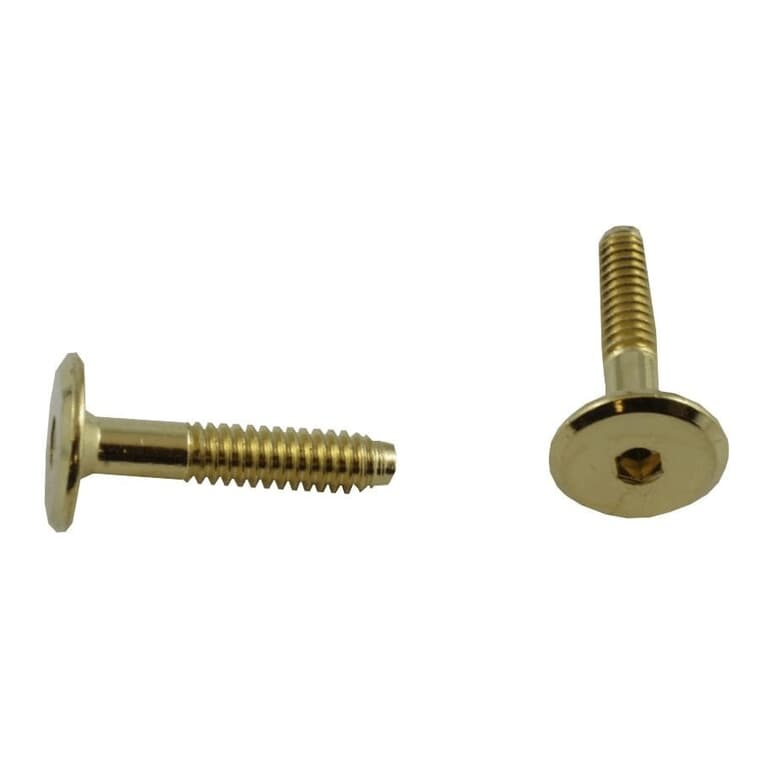 2 Pack 1/4" x 30mm Brass Plated Connector Bolts