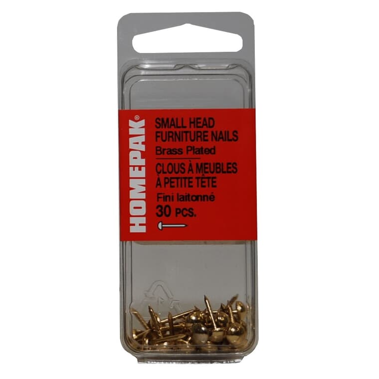 30 Pack Brass Small Round Head Upholstery Nails