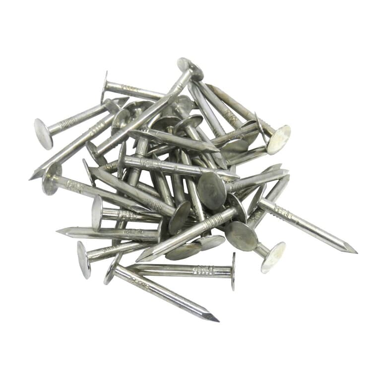 50lbs 1" x 11 Ga. Electro Galvanized Canadian Large Head Roofing Nails