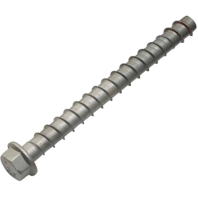3/8" x 3" Stainless Steel Wedge Bolt