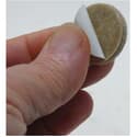 Photo thumbnail