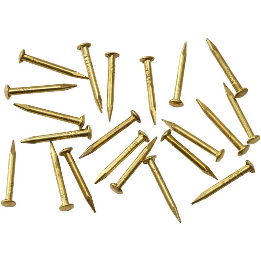 Brass Escutcheon Pins #16x 3/4” 2 Oz Pack 