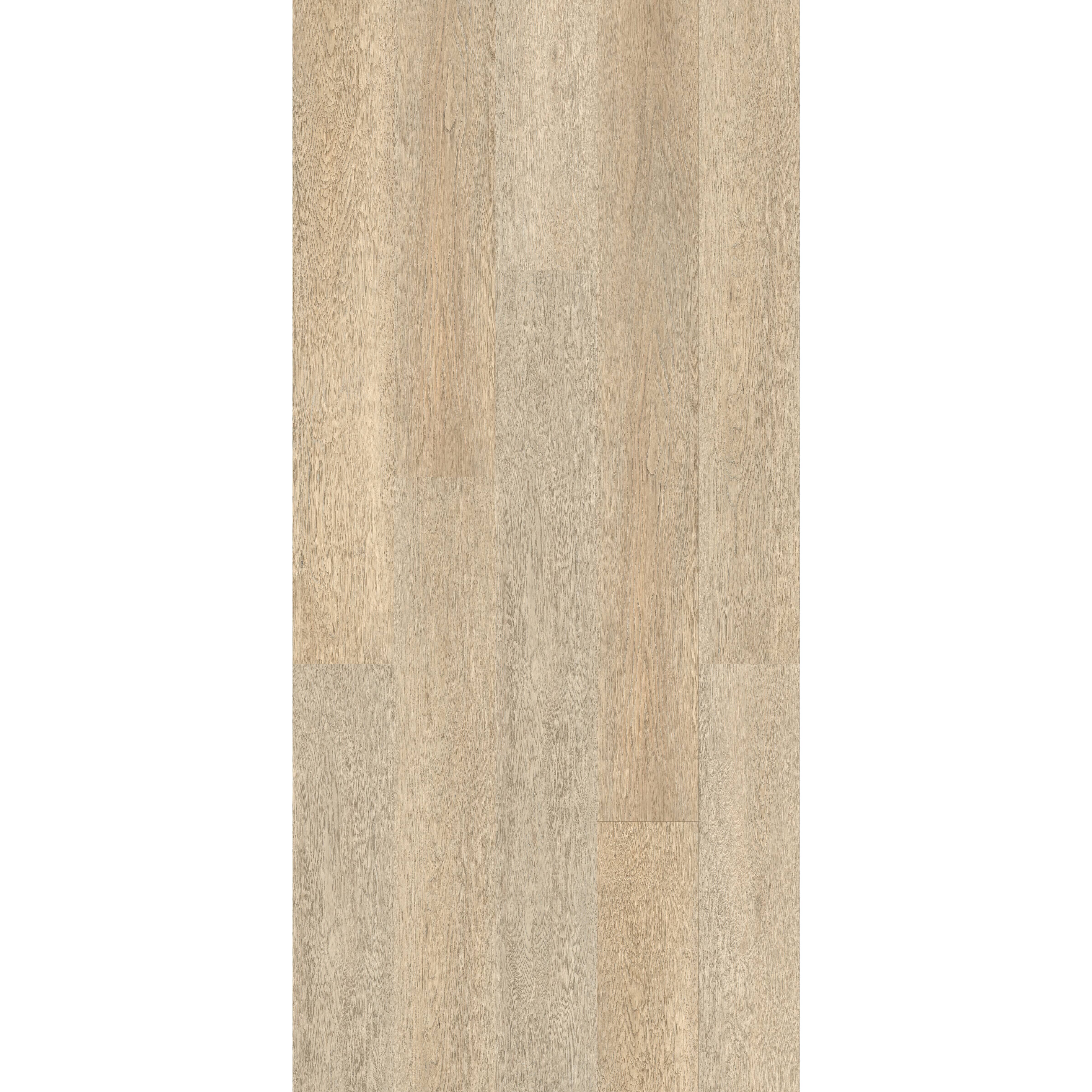 TAIGA SELECT Hollinger Collection 7