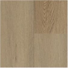 TAIGA SELECT Difference Collection 7