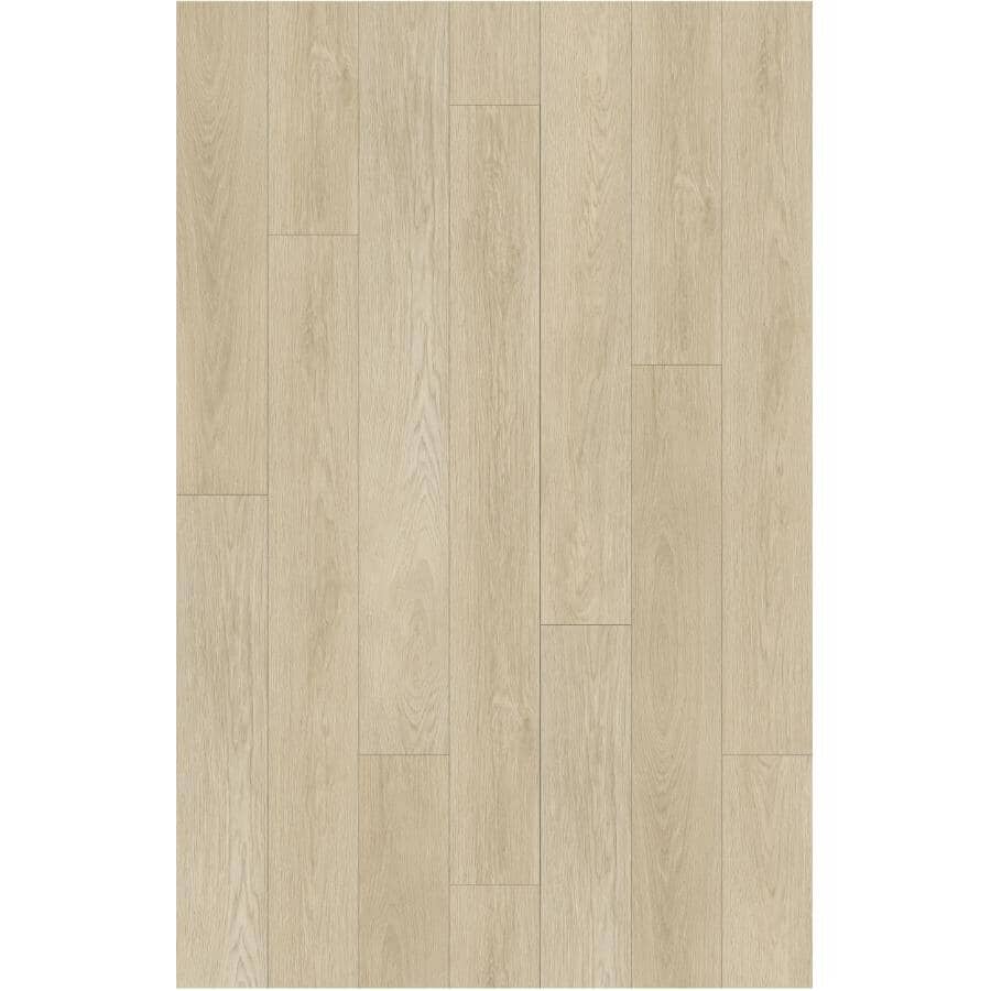 TAIGA SELECT Aquila Collection 7