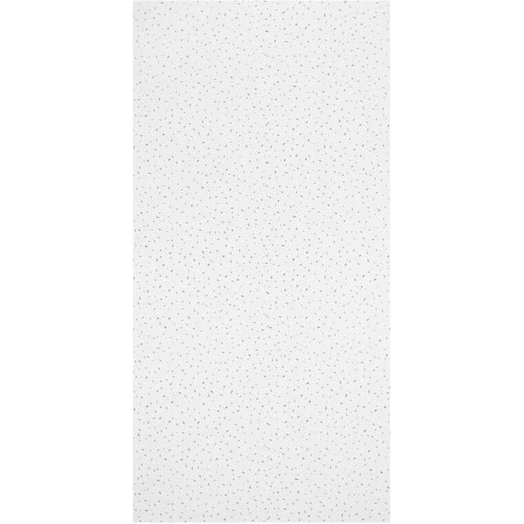 2' x 4' Non-Directional Mineral Fibre Ceiling Panel