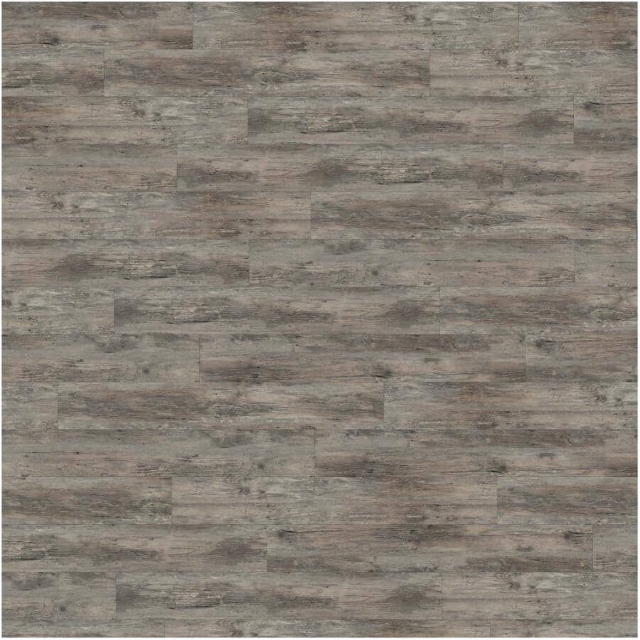 TAIGA SELECT Aurra 7