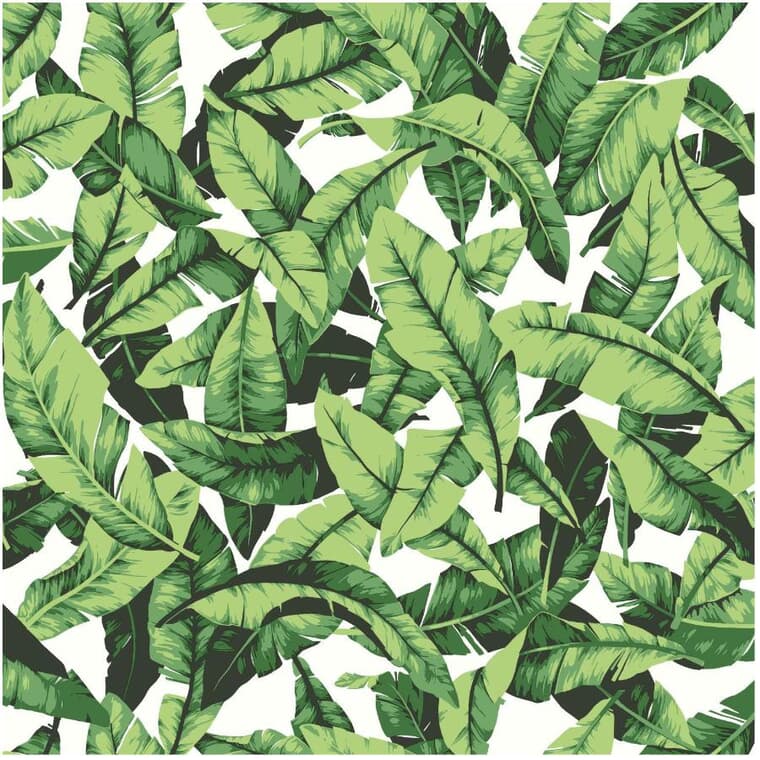 Palm Leaf Peel & Stick Wallpaper - 20.5" x  16.5'