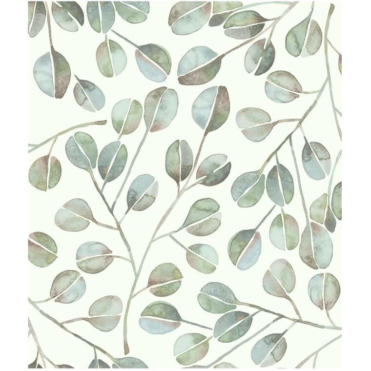 Papier peint peler et coller, feuilles d'eucalyptus, 20,5 po x 16,5 pi