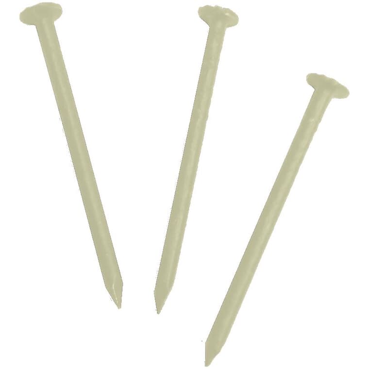 1lb 1-1/4" Ivory Stainless Steel Nails
