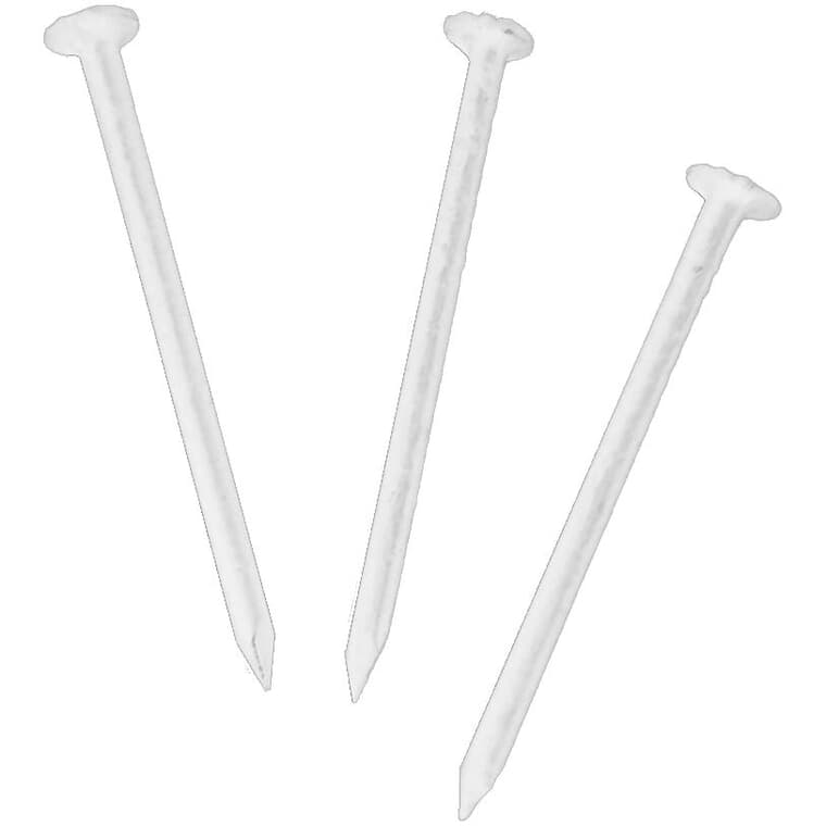 1lb 1-1/4" White Stainless Steel Nails
