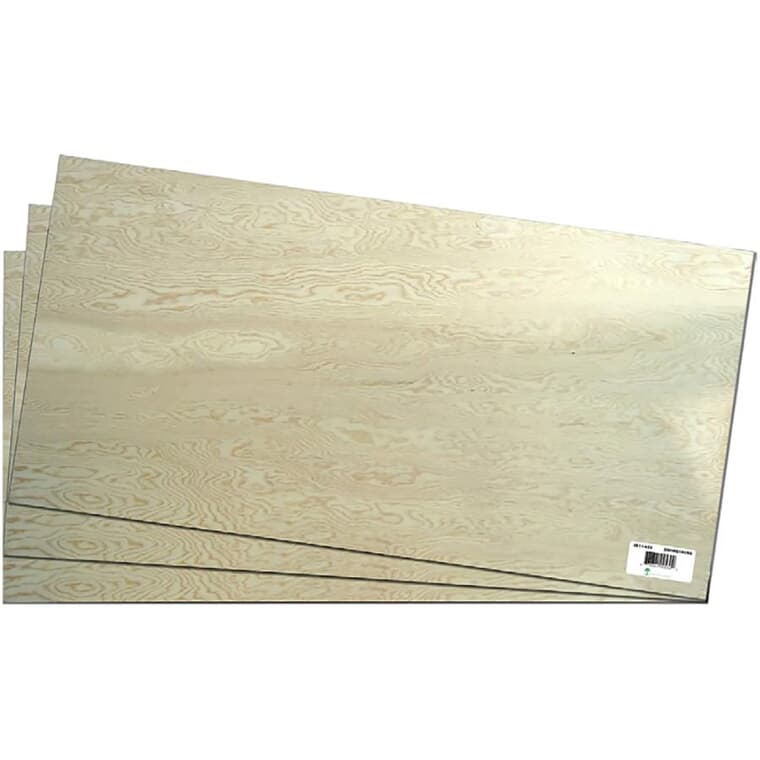 2' x 4' x 1/4" Good One Side Exterior Plywood