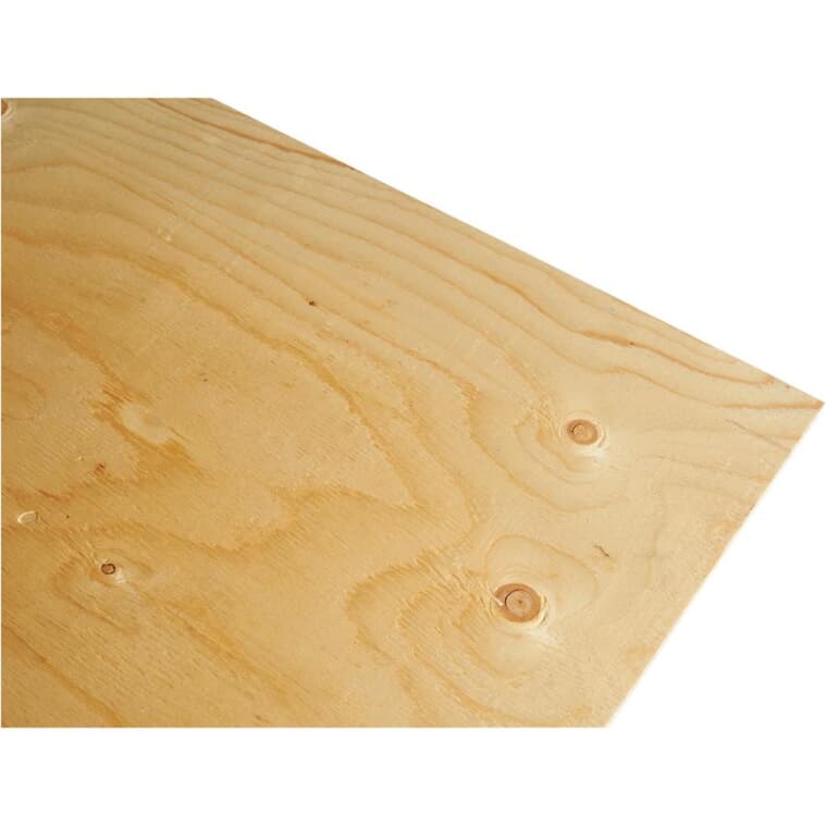 4' x 8' x 1/2" (12.5 mm) Standard Spruce Plywood