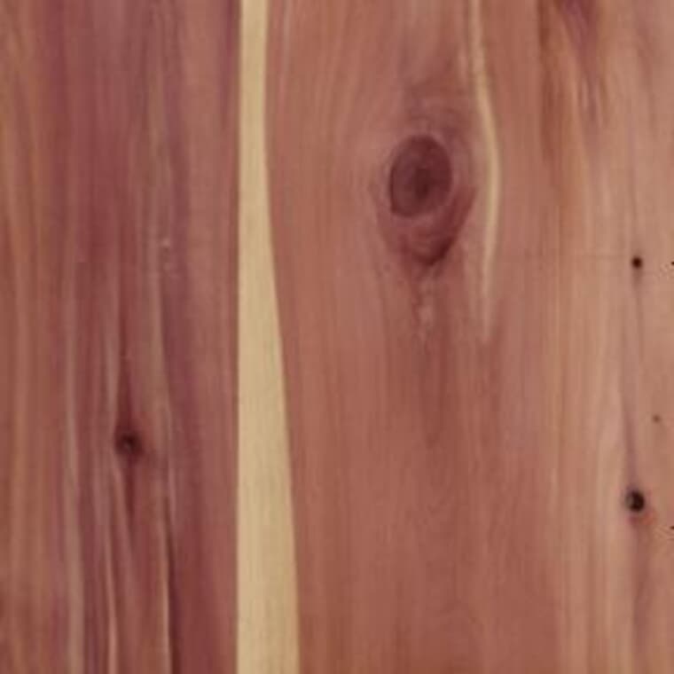4' x 8' x 3/4" (18.5 mm) Knotty Cedar Plywood