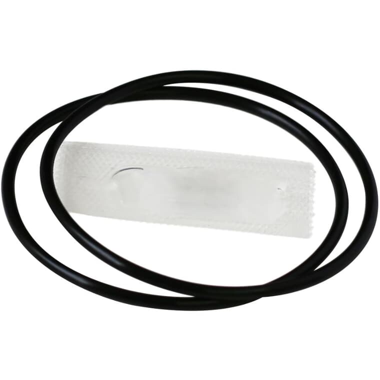 Water Filter Head O-ring - 2 Pack