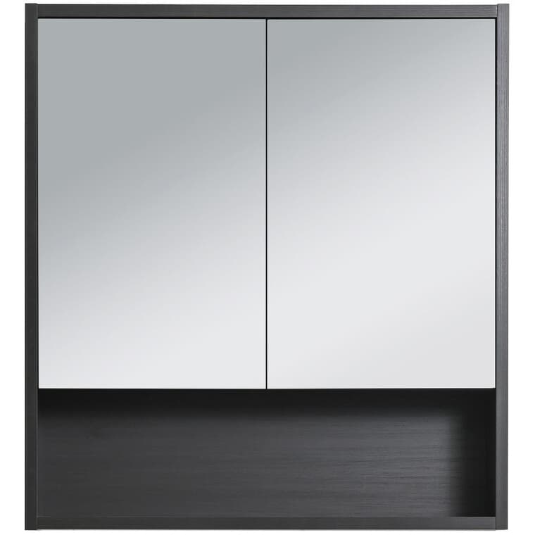 28" x 30" Harlow Single Door Medicine Cabinet with Display Shelf - Black