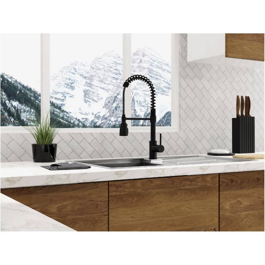 BÉLANGER ESSENTIAL Professio Single Handle Pull-Down Kitchen Faucet ...