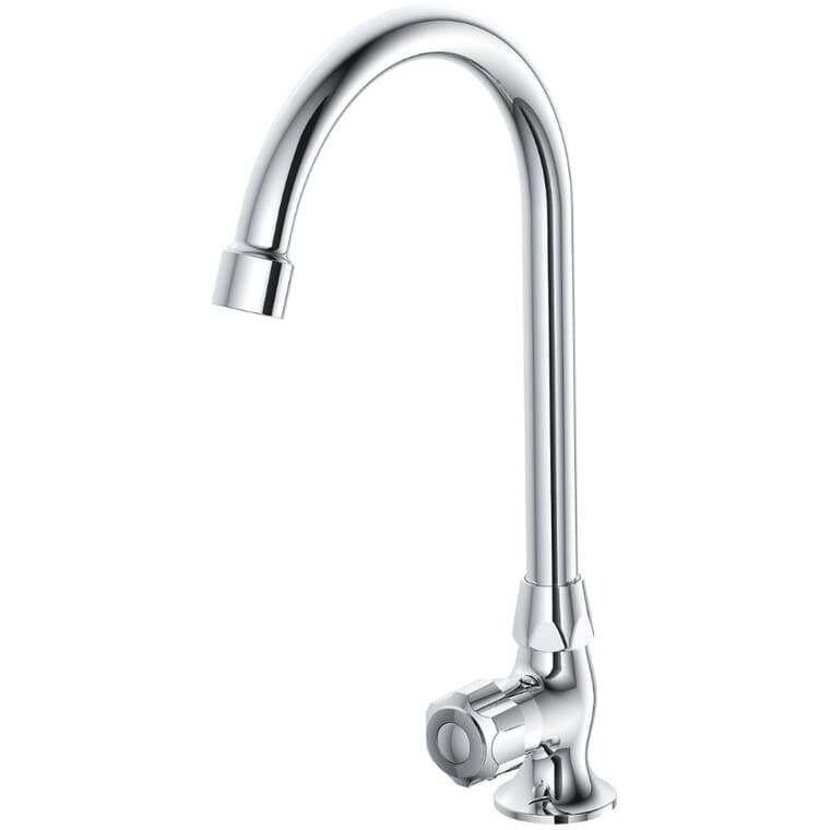 Oralie Single Handle Cold or Hot Pantry Faucet - Chrome