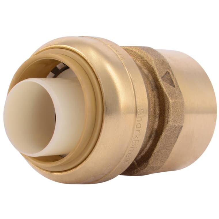 1" Push Fit x 1" FPT Brass Adapter