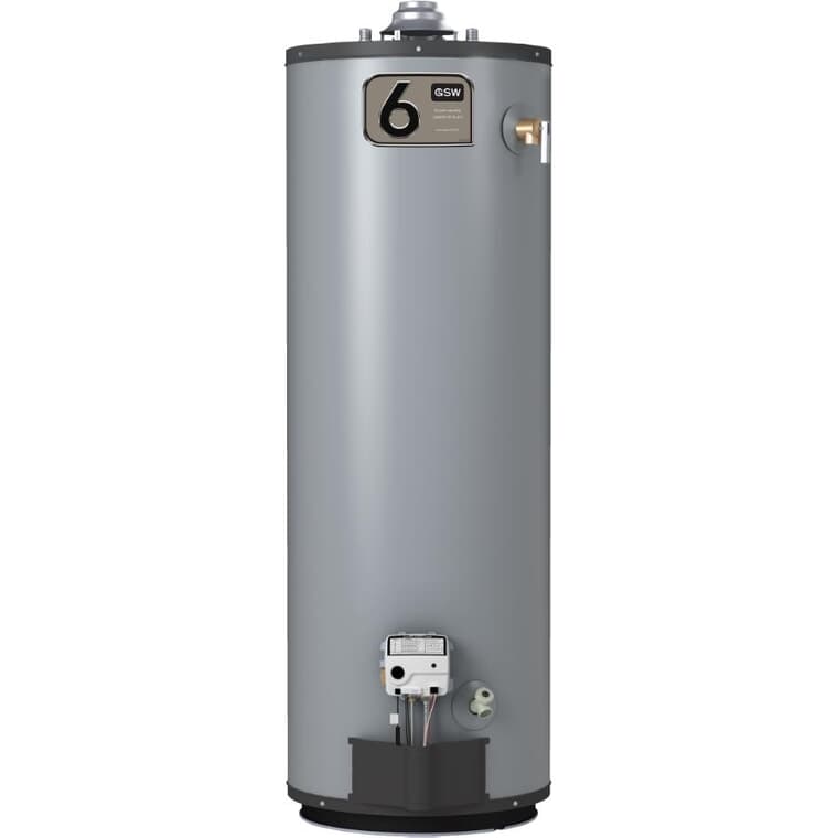 33 Gal Atmospheric Vent Propane Water Heater (100210398)