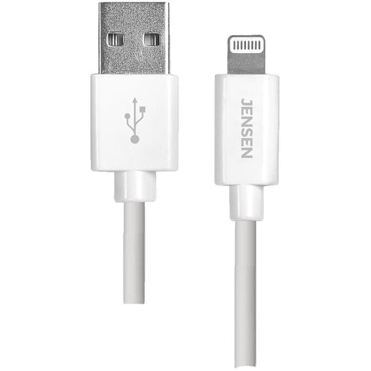 10'/3m Sync & Charge Lightning Cable
