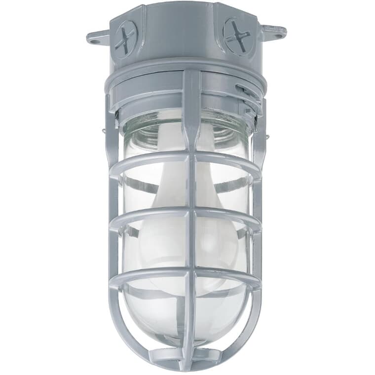 Outdoor Flushmount Cage Ceiling Light Fixture - Grey, 9-1/2''