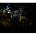 Photo thumbnail