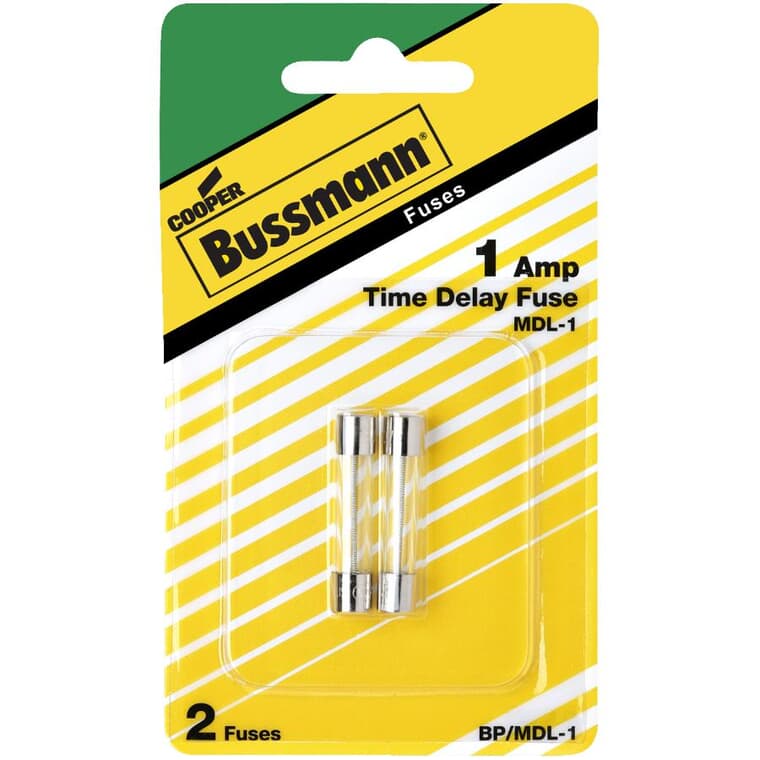 1 Amp Time-Delay Glass Fuses - 2 pack