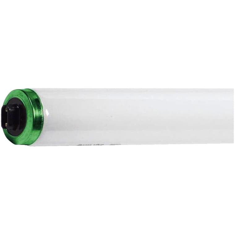 Ampoule fluorescente T12 de 110 W à culot encastré à contact double et à flux élevé, blanc froid, 96 po