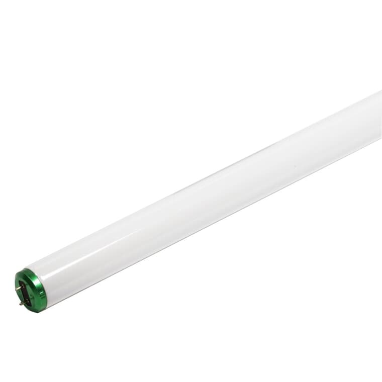 Ampoules fluorescentes T8 de 32 W à 2 broches, lumière du jour, 48 po, paquet de 10