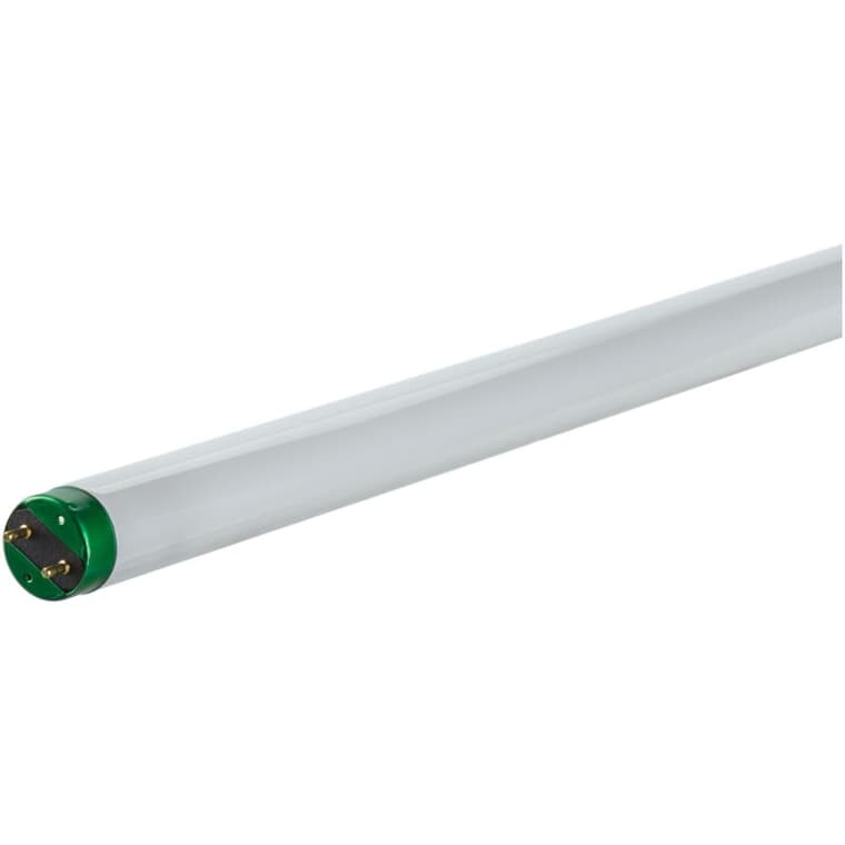 32W T8 Bi-Pin Cool White Fluorescent Light Bulbs - 48", 10 Pack