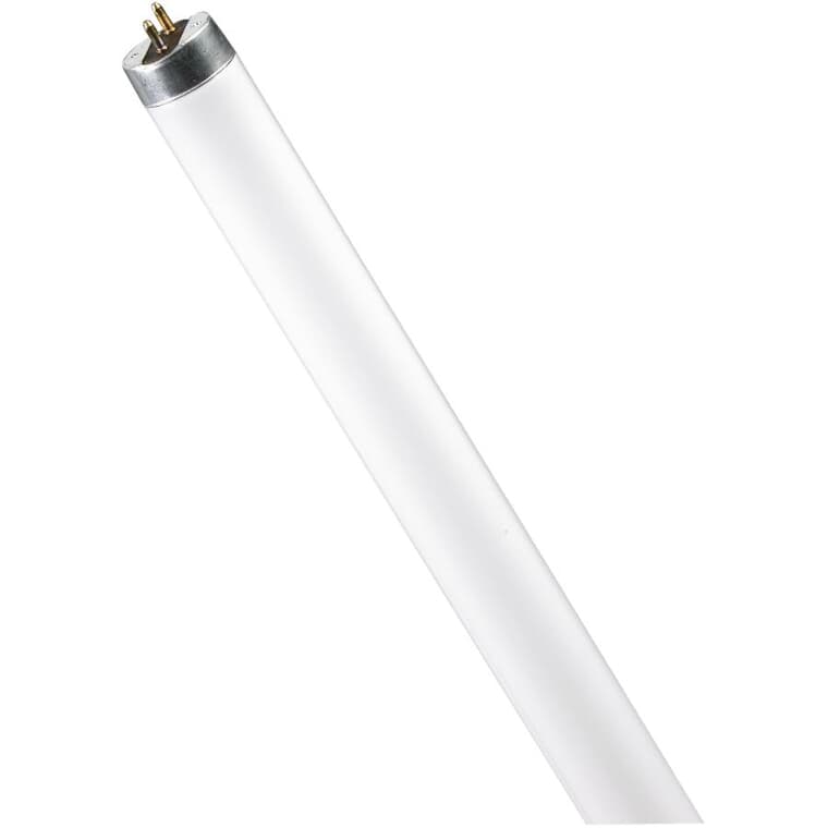 Lampe fluorescente T8 de 15 W à culot moyen à deux broches, 18 po, blanc froid