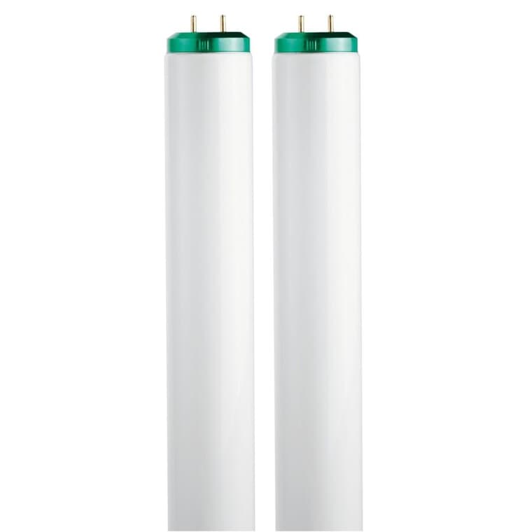 40W T12 Bi-Pin Cool White Fluorescent Light Bulbs - 48", 2 Pack