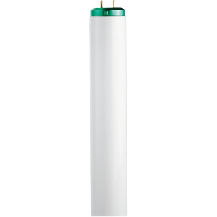 Ampoules fluorescentes T12 de 40 W à 2 broches, lumière du jour, 48 po, paquet de 2