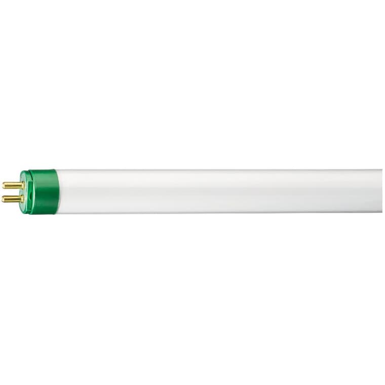 Ampoule fluorescente T5 de 13 W à 2 broches miniatures, blanc brillant, 21 po
