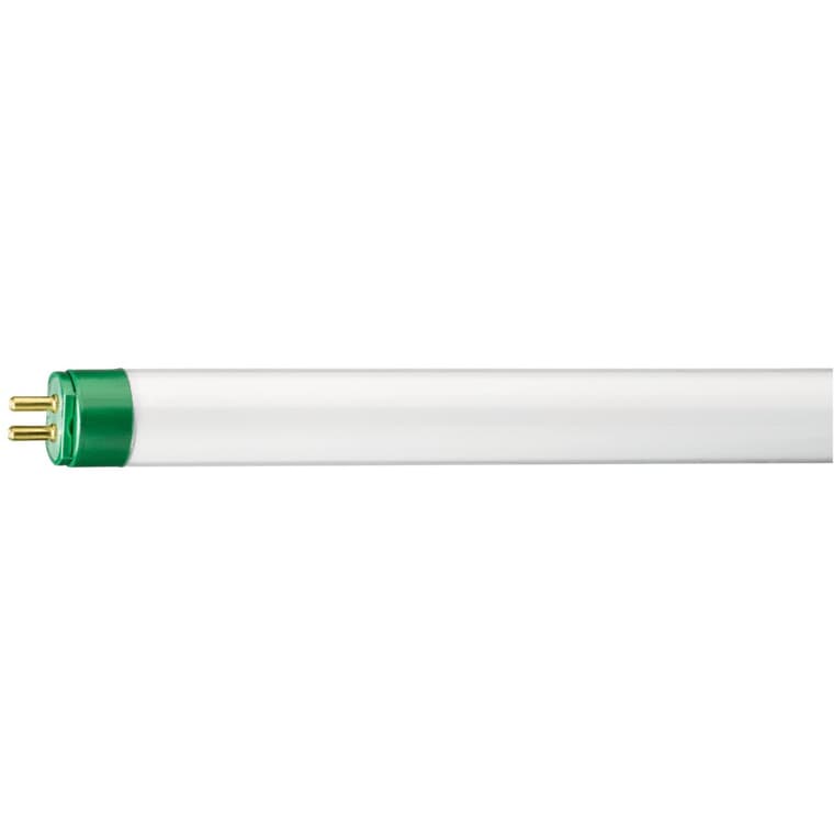 Ampoule fluorescente T5 de 14 W à 2 broches miniatures, blanc brillant, 22 po