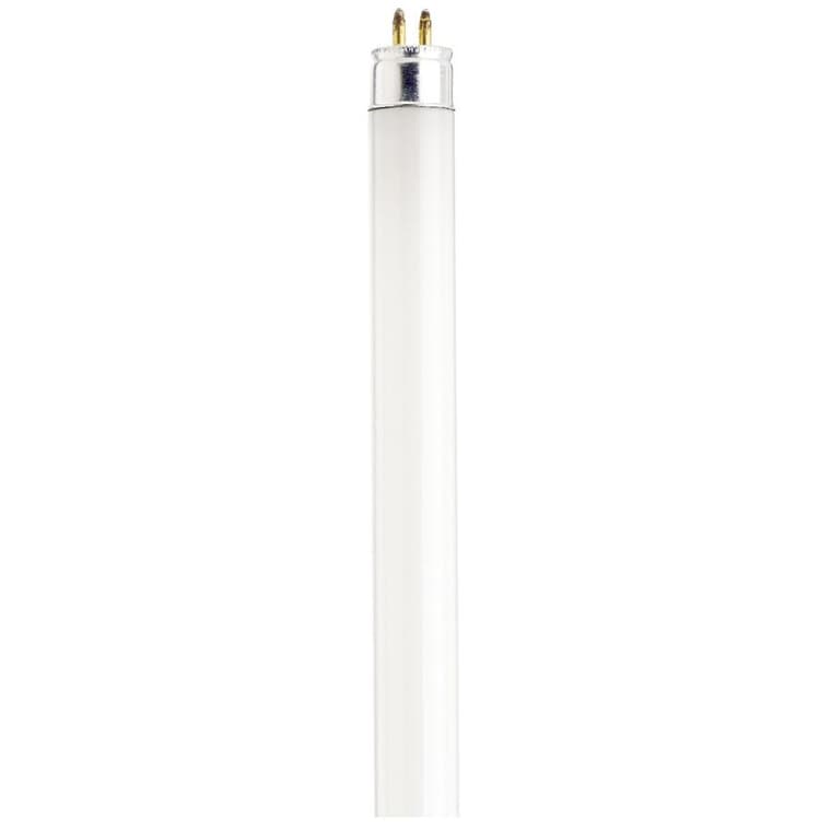 8W T5 Mini Bi-Pin Soft White Fluorescent Light Bulb - 12"
