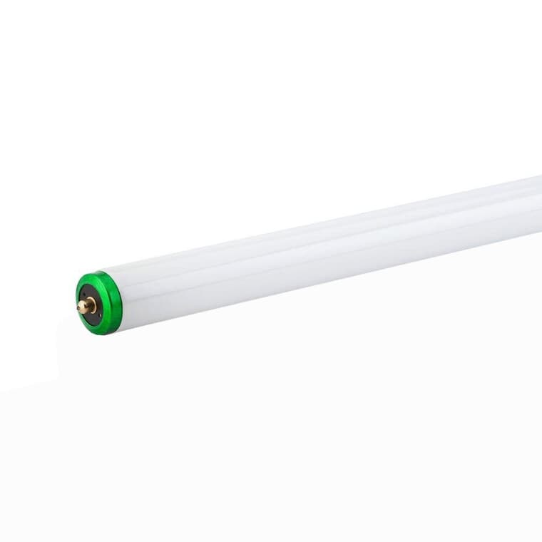 Ampoule fluorescente T12 de 75 W à 1 broche, blanc froid, 96 po