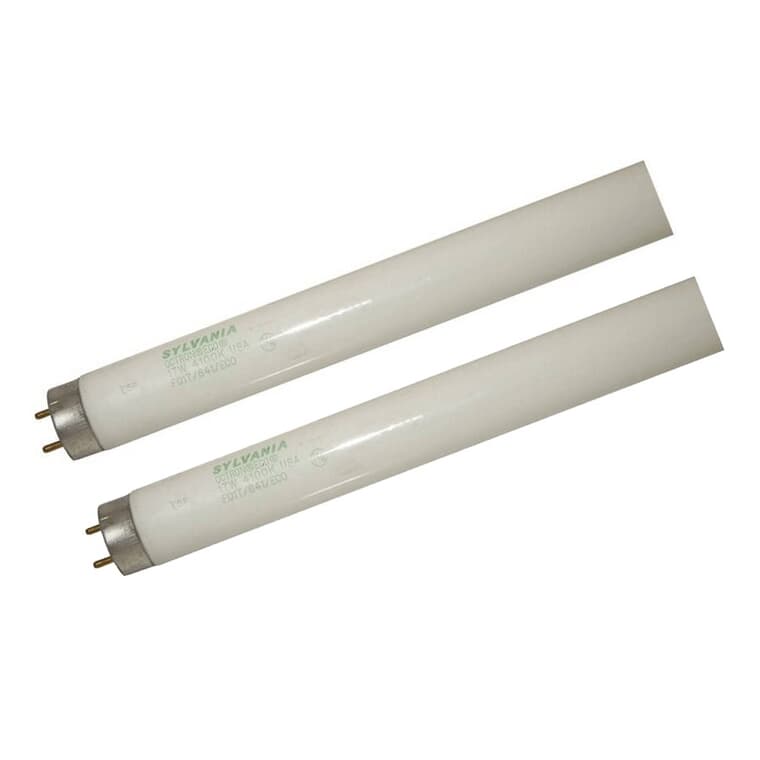 17W T8 Bi-Pin Cool White Fluorescent Light Bulbs - 24", 2 Pack
