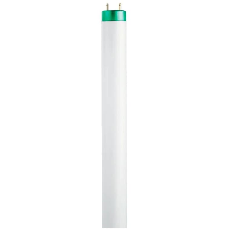 17W T8 Bi-Pin Soft White Fluorescent Light Bulbs - 24"