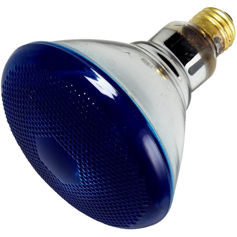 Ampoule PAR38 de 100 W à culot moyen et à faisceau large, pour l'intérieur et l'extérieur, bleu