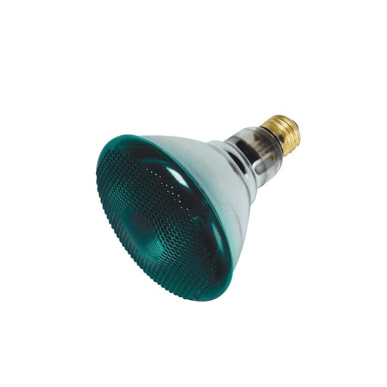 Ampoule PAR38 de 100 W à culot moyen et à faisceau large, pour l'intérieur et l'extérieur, vert
