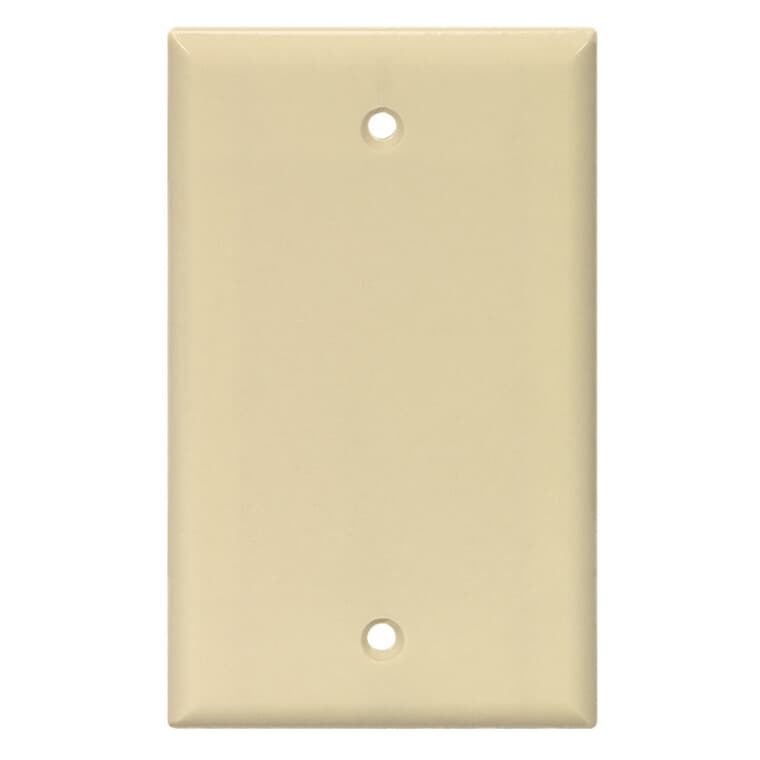 Ivory 1-Gang Blank Wall Cover