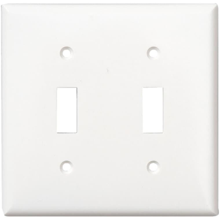 Plaque en plastique pour deux interrupteurs à bascule, blanc