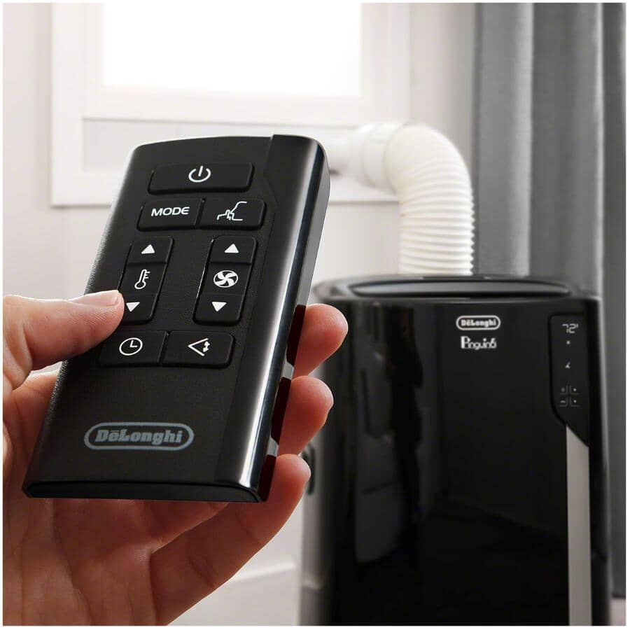 Delonghi 8700 btu Pinguino Portable Air 