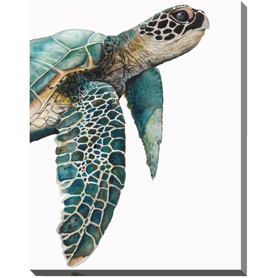 STREAMLINE ART:22" x 28" Great Sea Turtle Wall Plaque