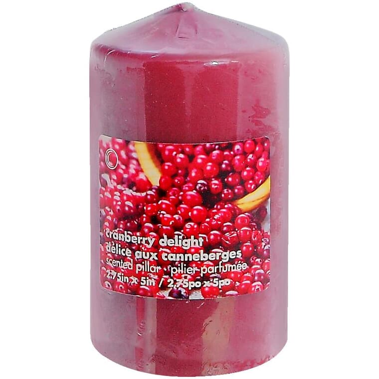 Cranberry Delight Pillar Candle - 2.75" x 5"