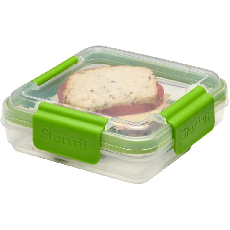 Easy Lunch Square Sandwich Container - 473 ml